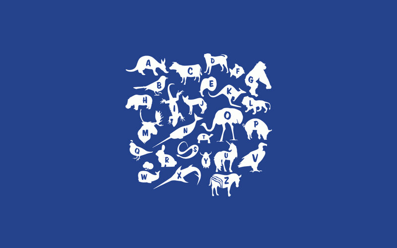 Animal Alphabet Art
