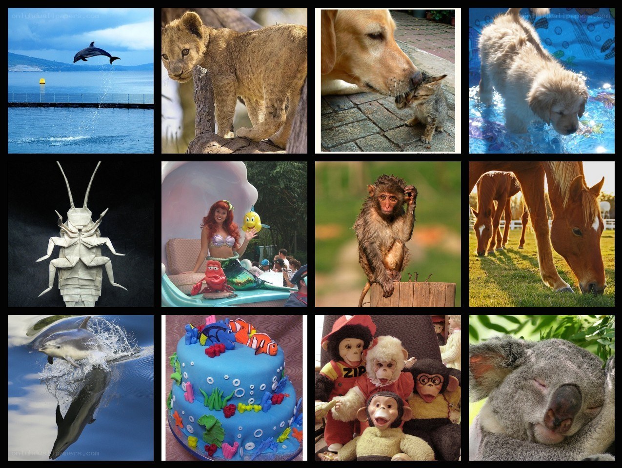 Animal and character collage