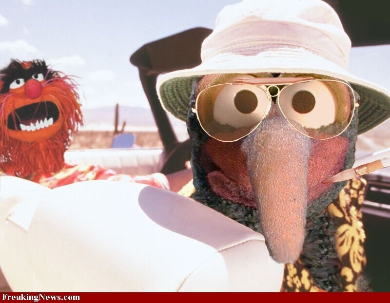 Animal and Gonzo in a car