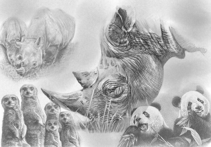 animal collage drawing