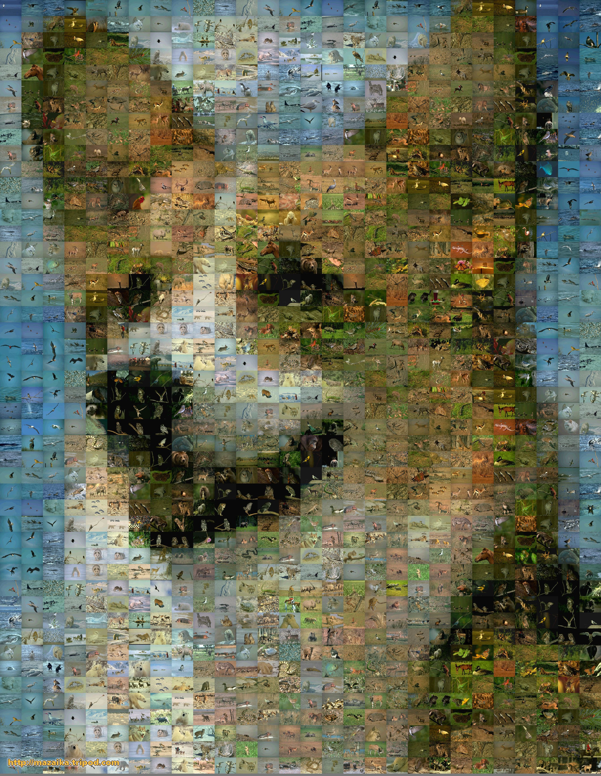 Animal collage mosaic