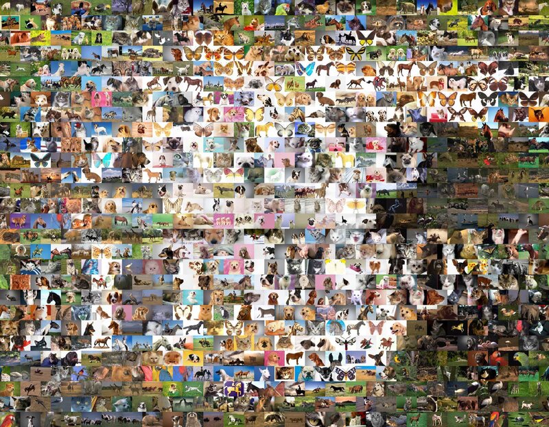 Animal Collage