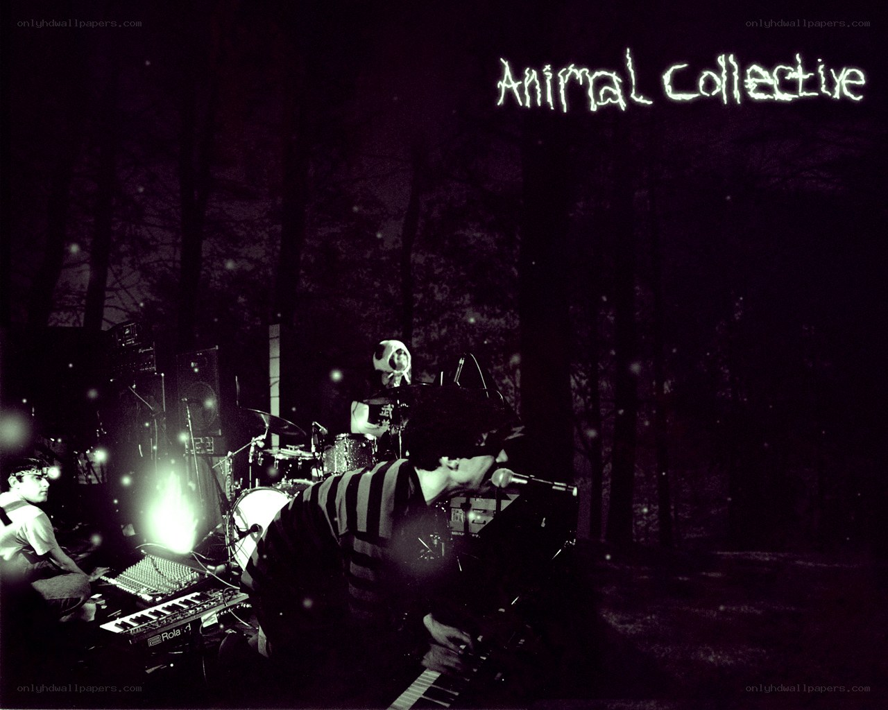 Animal Collective band performance
