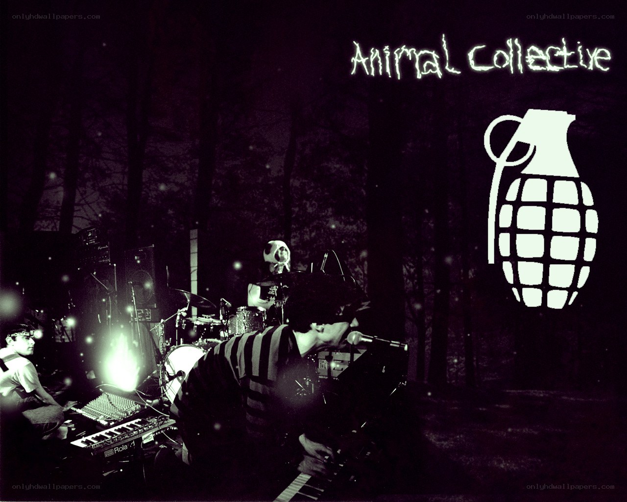 Animal Collective band performance