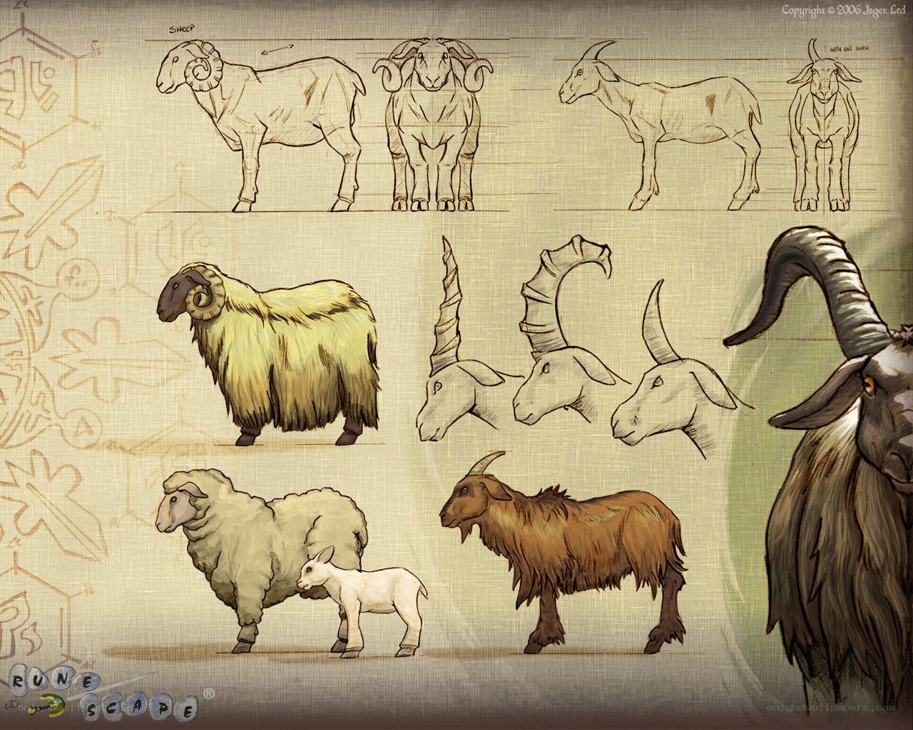 Animal design sheet for Runescape