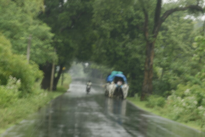 Animal-drawn Cart on Road