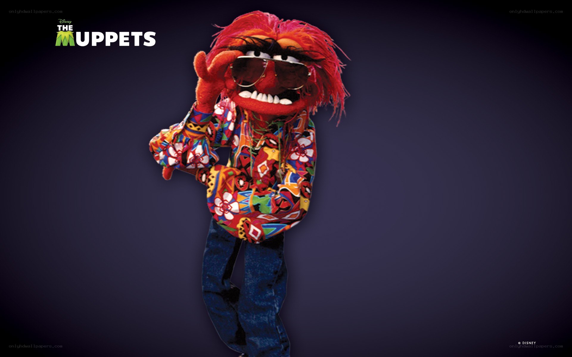Animal from The Muppets