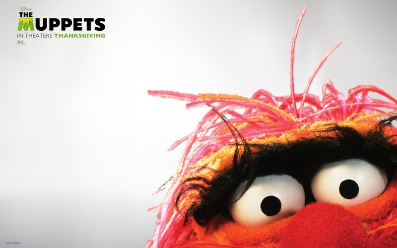 Animal from The Muppets