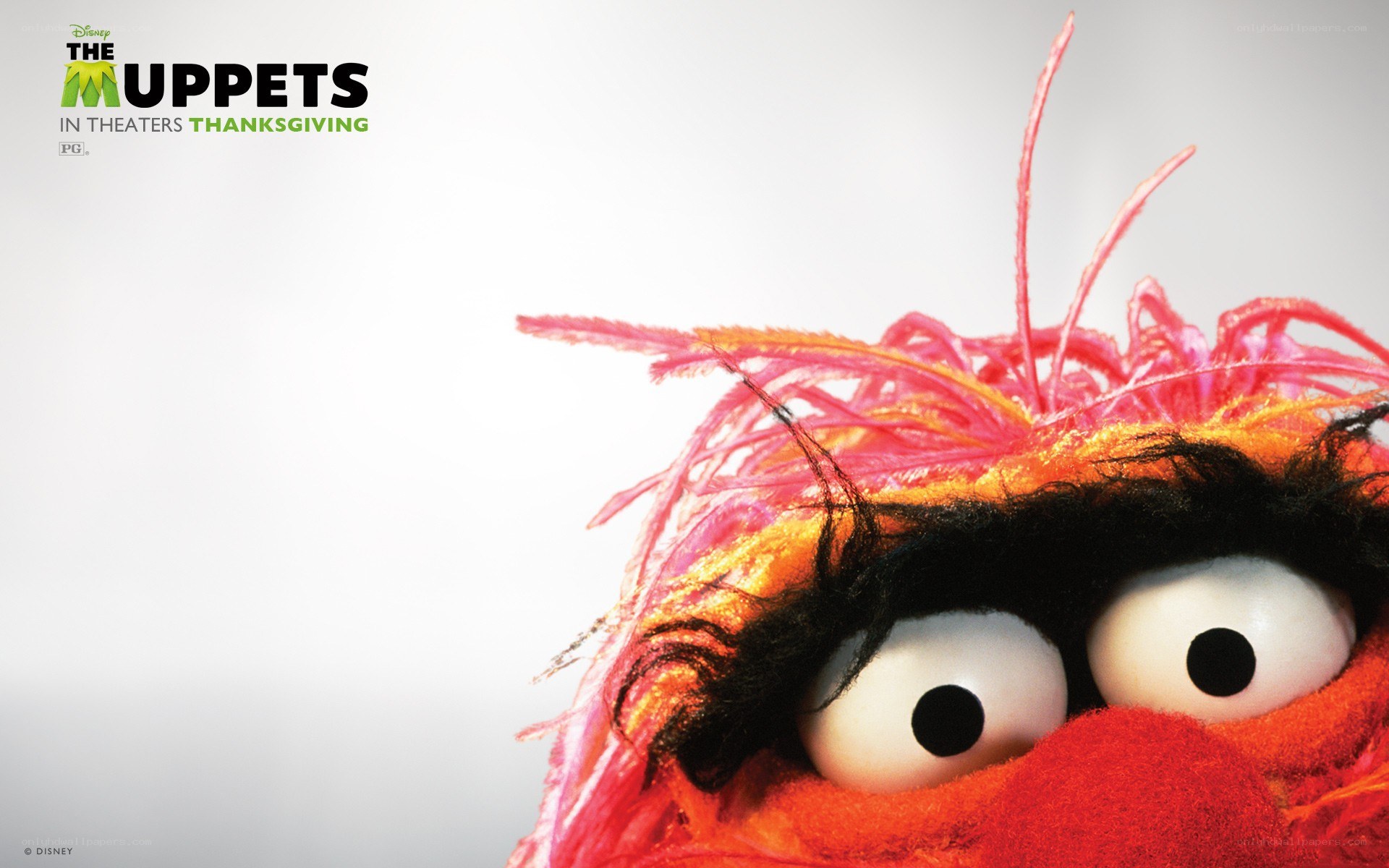 Animal from The Muppets