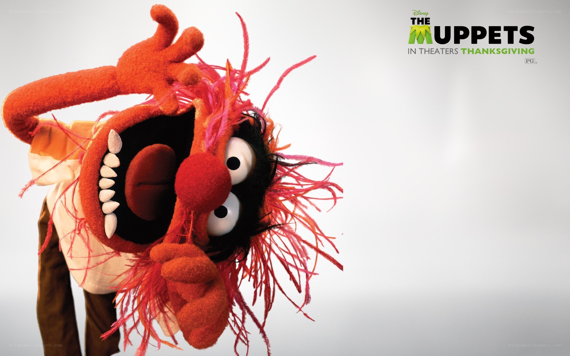 Animal from The Muppets