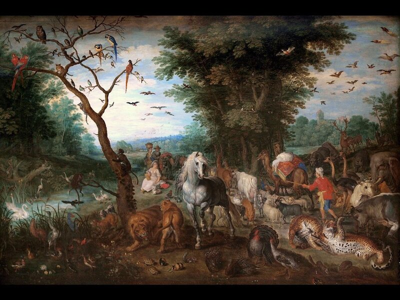 Animal gathering in a forest