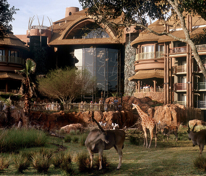 Animal kingdom resort at disney world