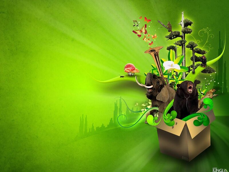 Animal music box fantasy