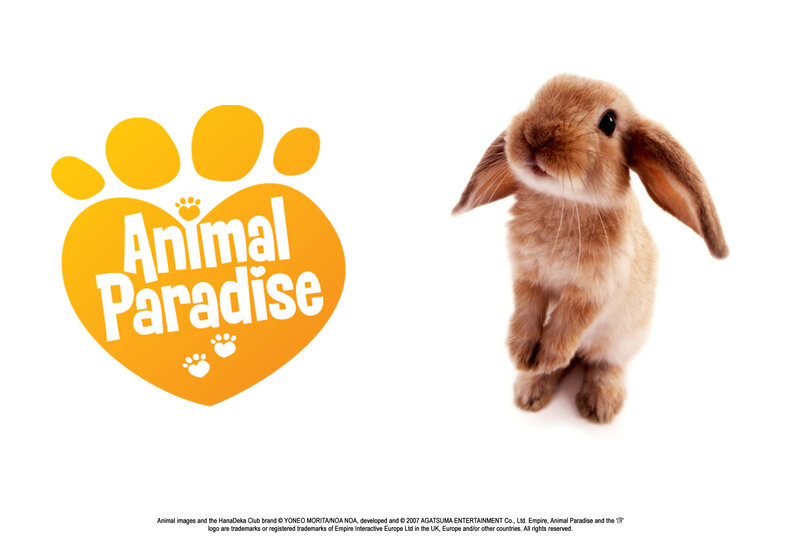Animal Paradise logo with bunny