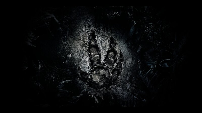 Animal Paw Print — Black