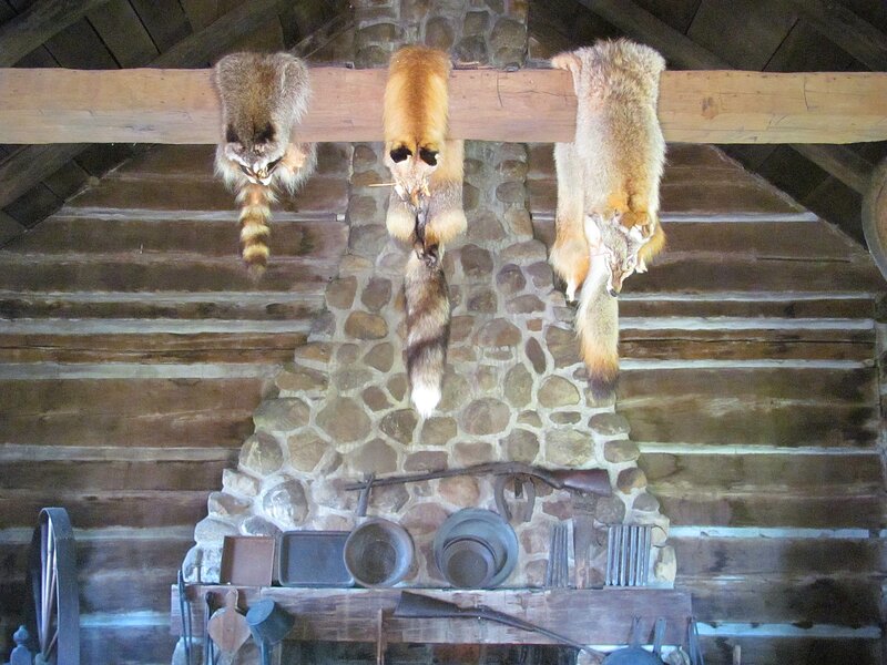 Animal Pelts on Beam