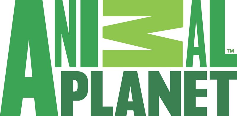 Animal Planet logo