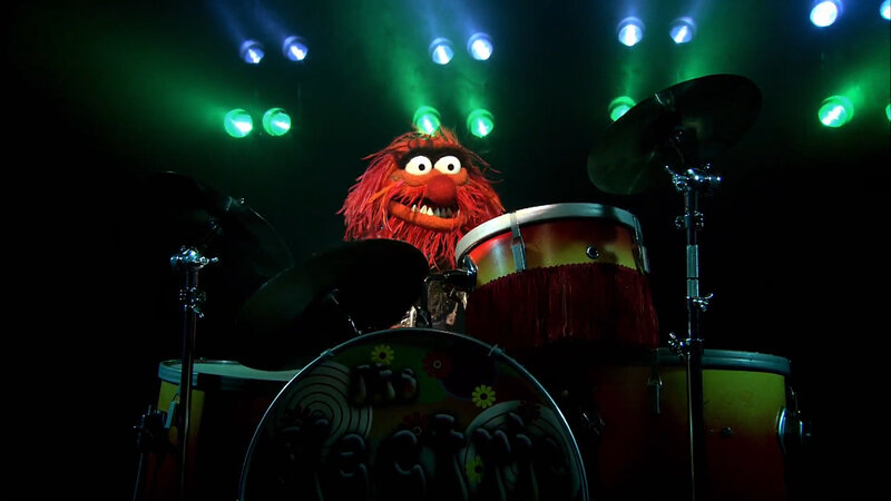 Animal playing drums on stage