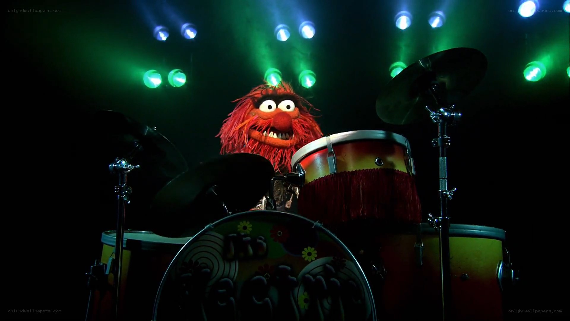 Animal playing drums on stage