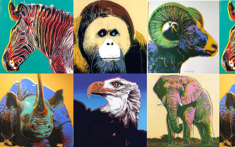 Animal Portraits