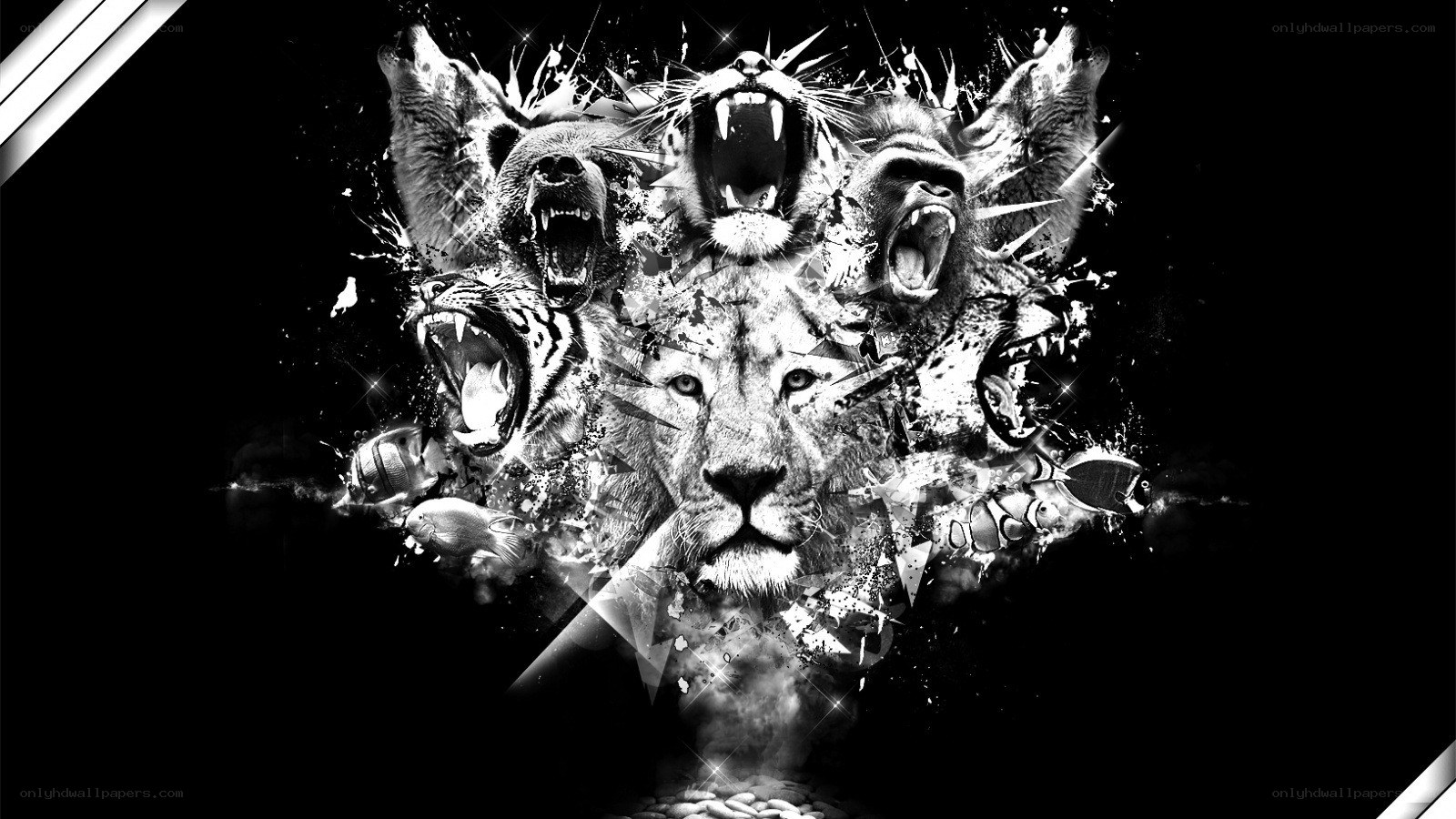 animal roar collage art