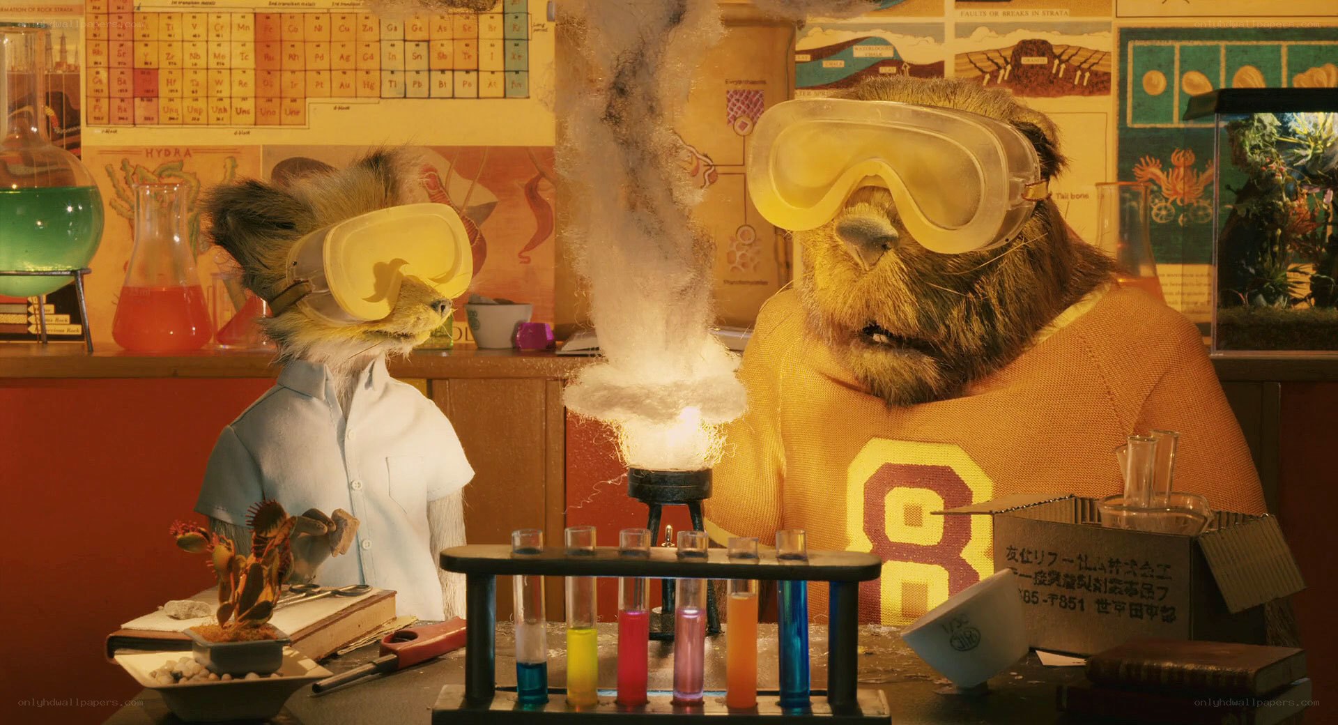 animal scientists in lab