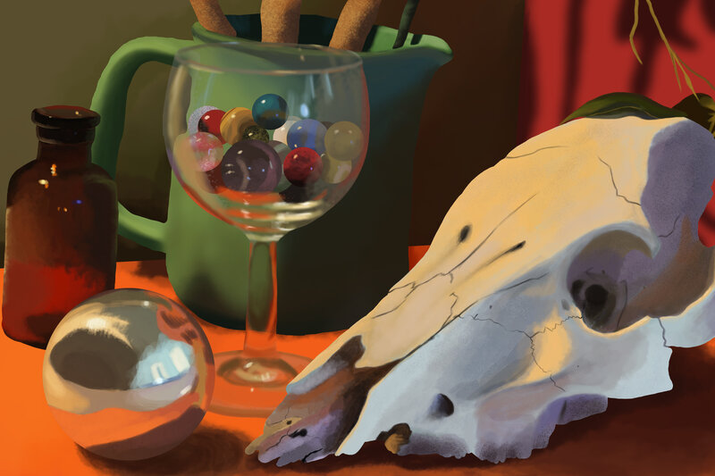 Animal Skull on Table