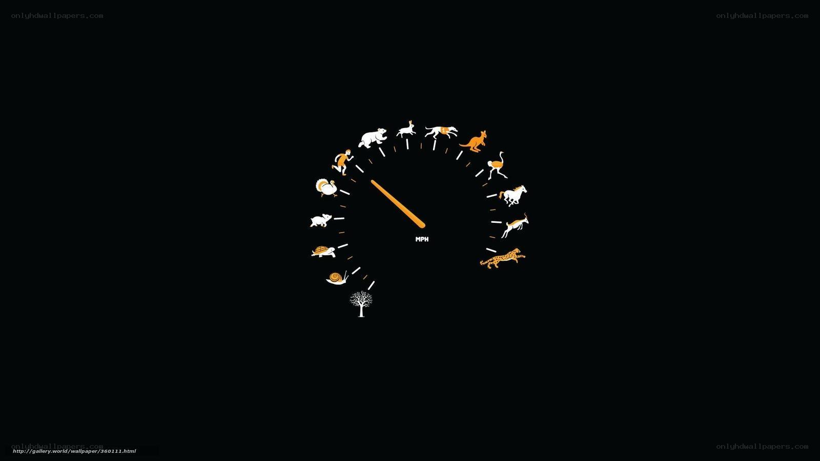 animal speedometer clock