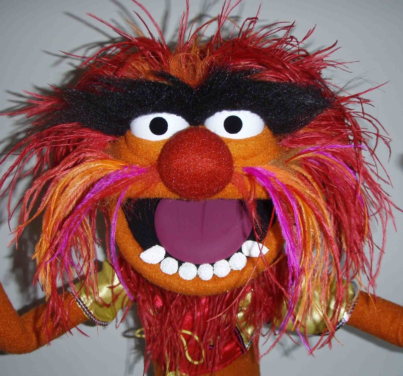 Animal the Muppet puppet