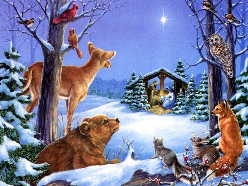 Animals at Nativity Scene