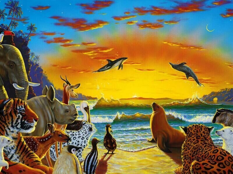 animals at sunset on beach