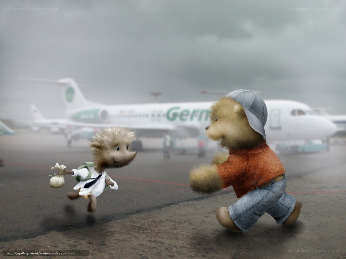 Animals at the airport