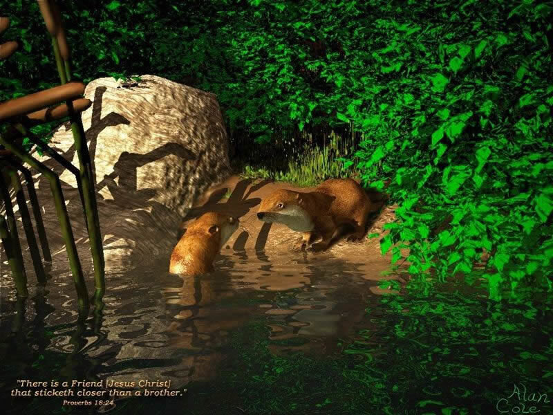 Animals by a stream