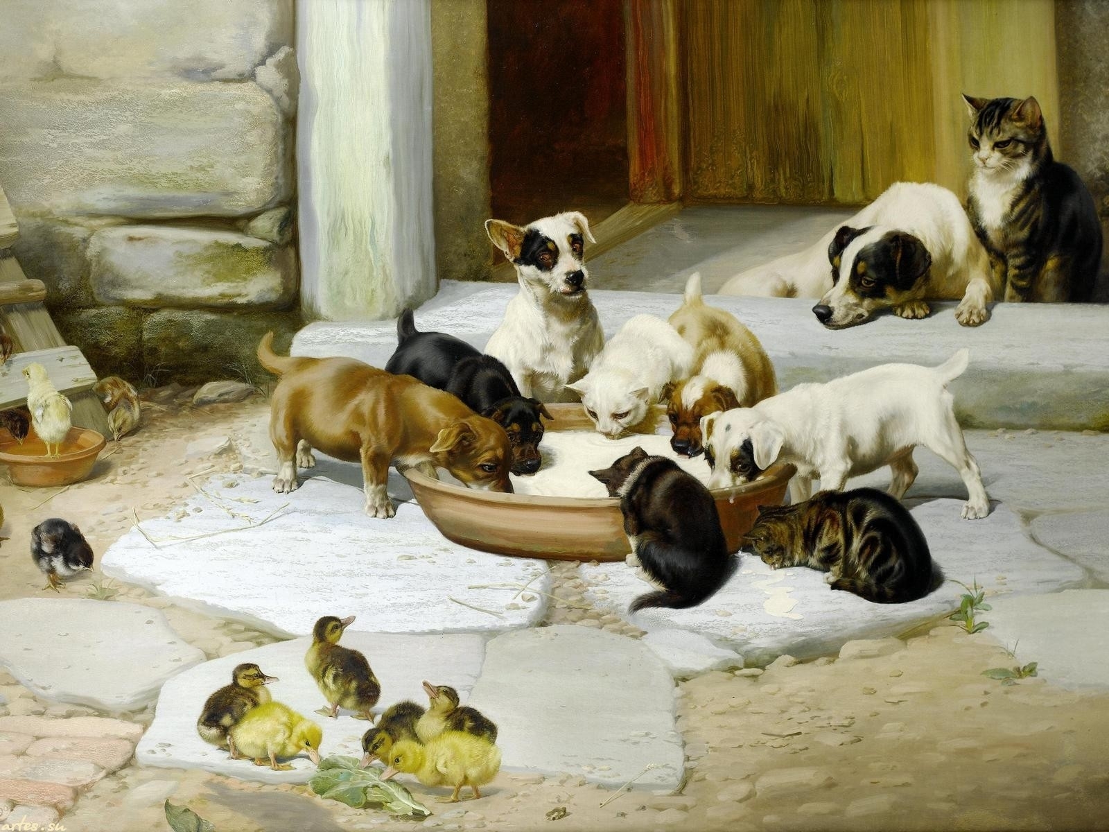 Animals eating together