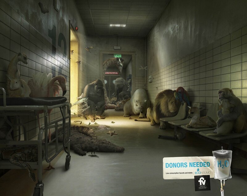 Animals in a hospital hallway