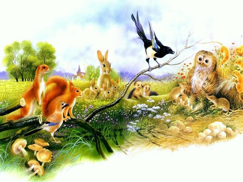 Animals in a meadow