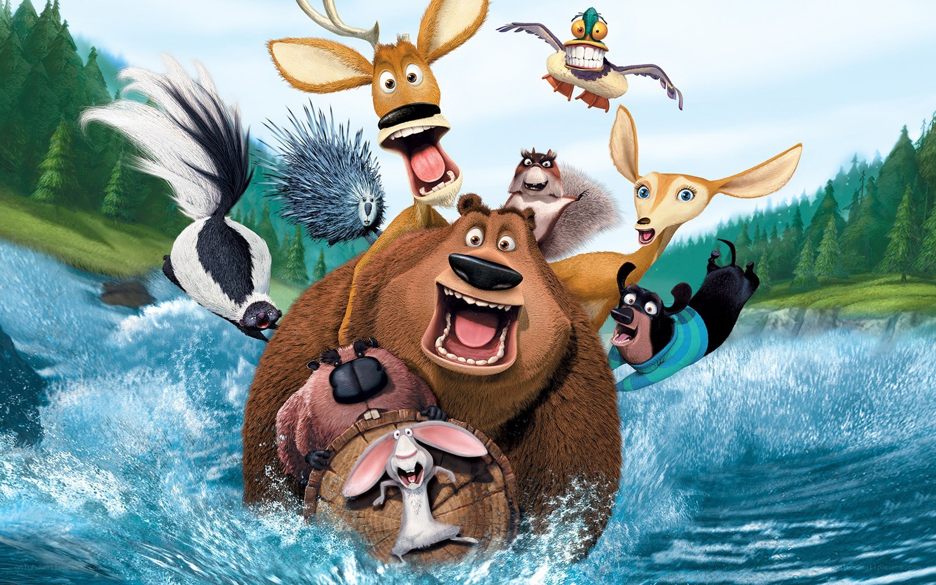 Animals in a raft adventure
