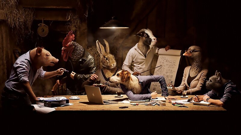 Animals in Business Meeting