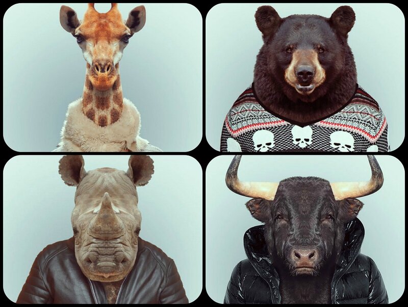 Animals in Clothing