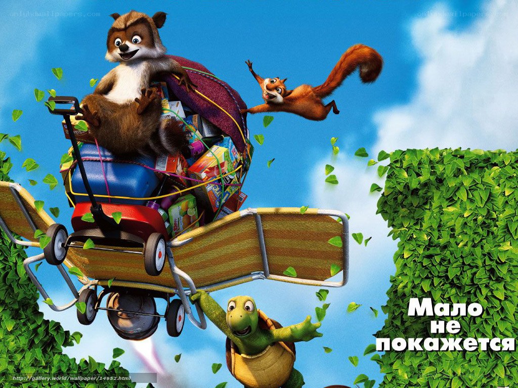 animals in flying contraption