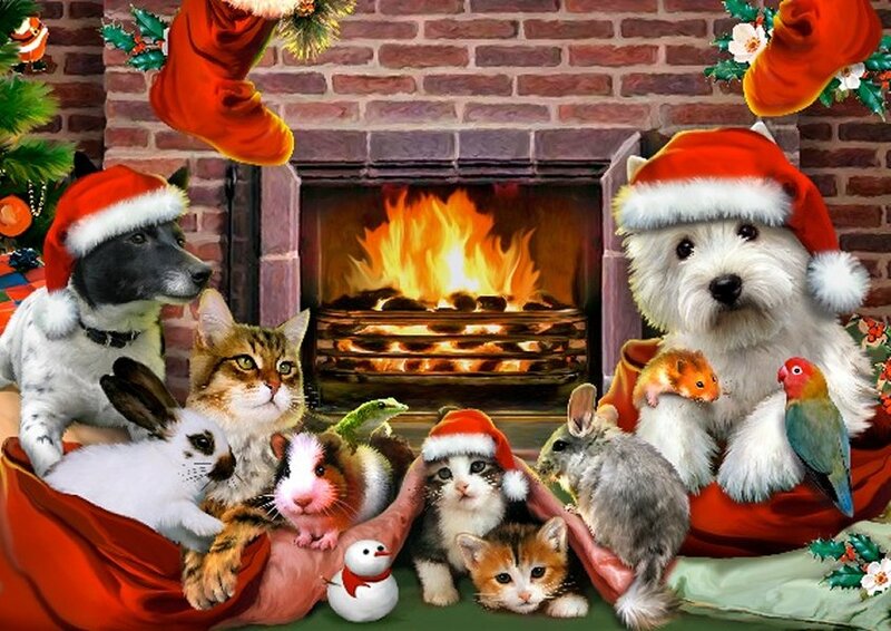 Animals in Santa Hats
