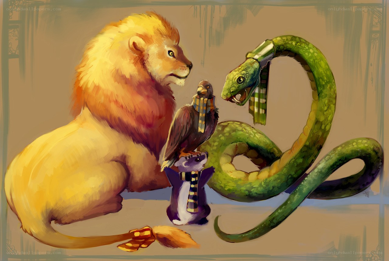 Animals in scarves