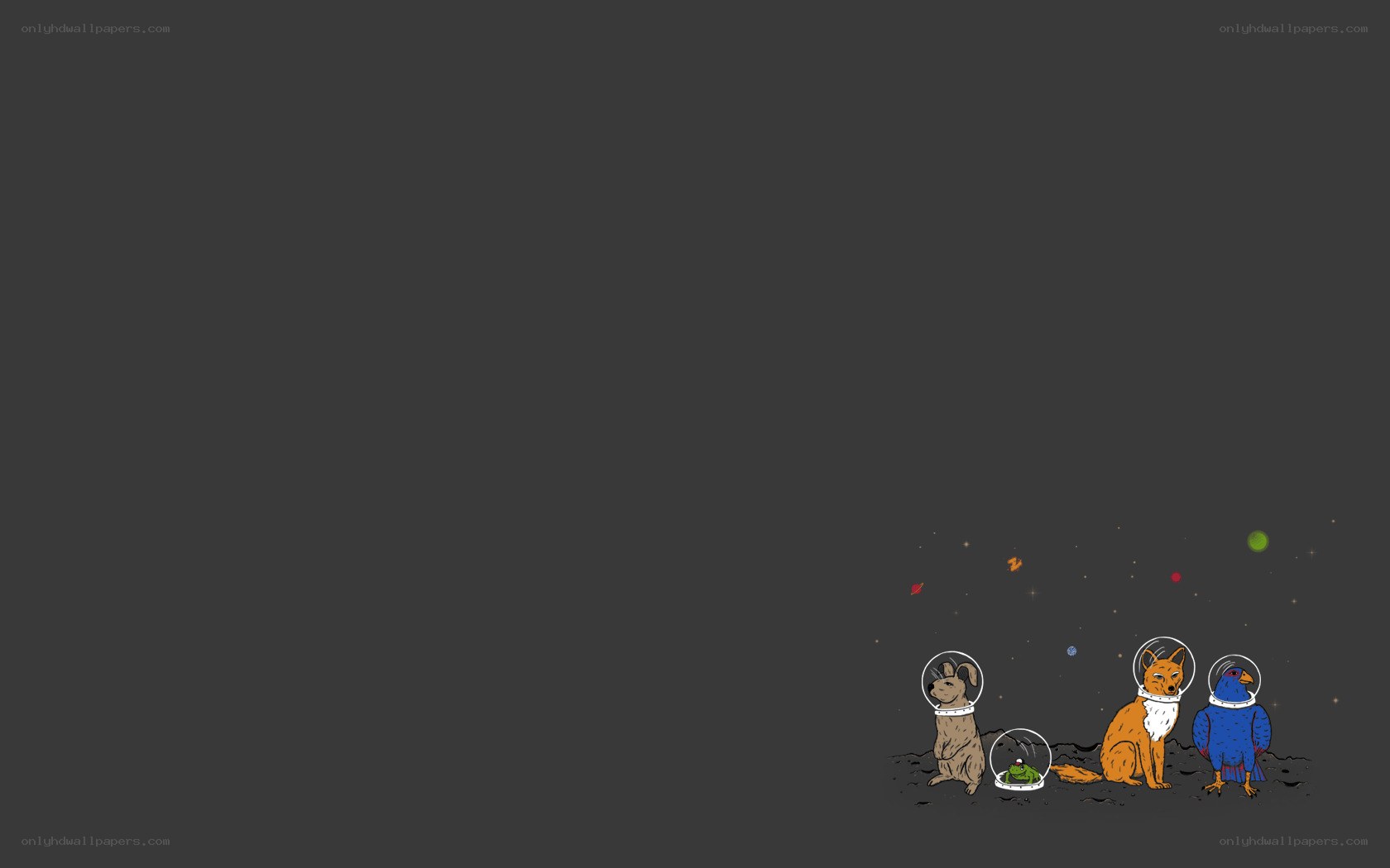 animals in space
