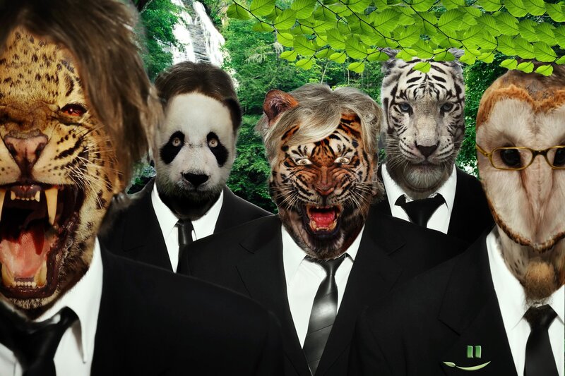 animals in suits collage