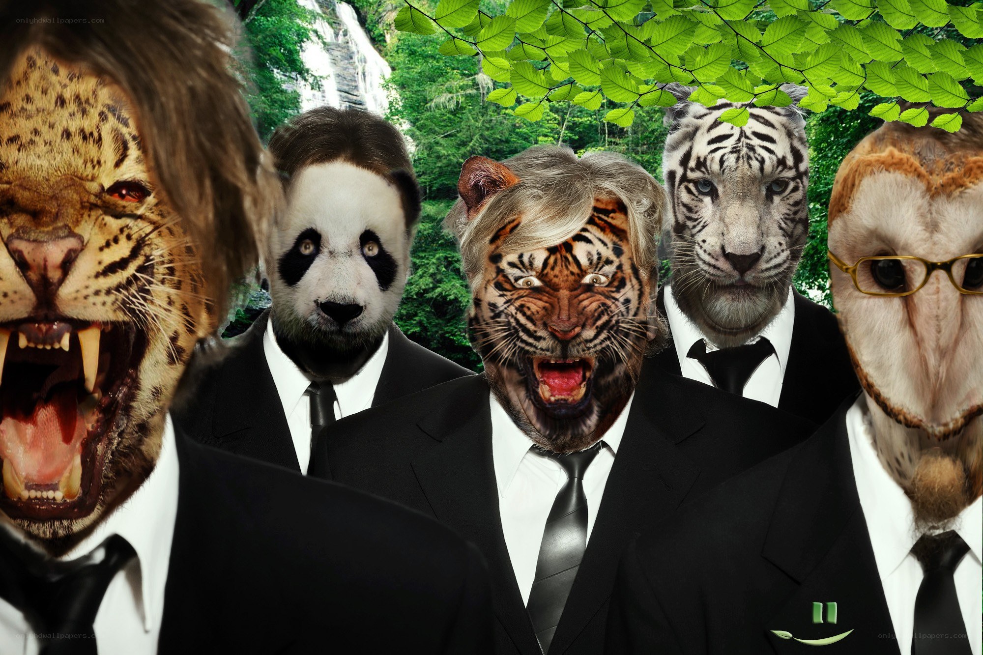 animals in suits collage