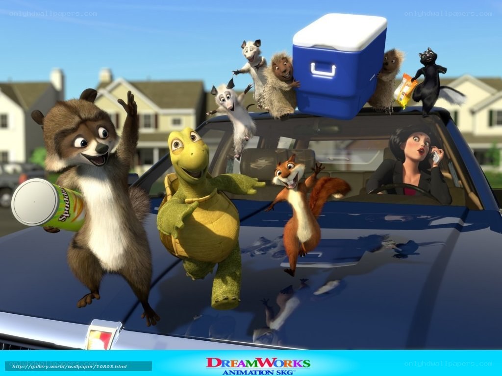 Animals on a car hood
