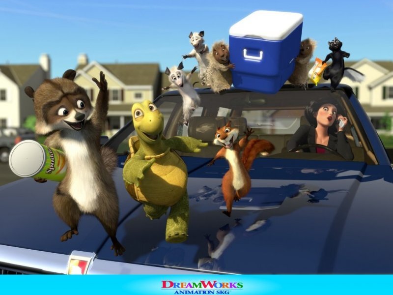 Animals on a car