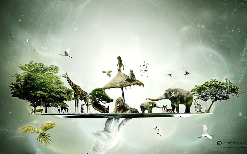 Animals on a Floating Island — Green
