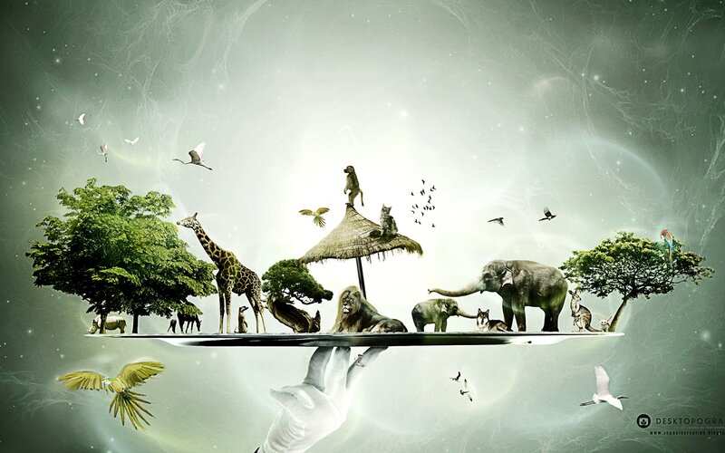 Animals on a Floating Island