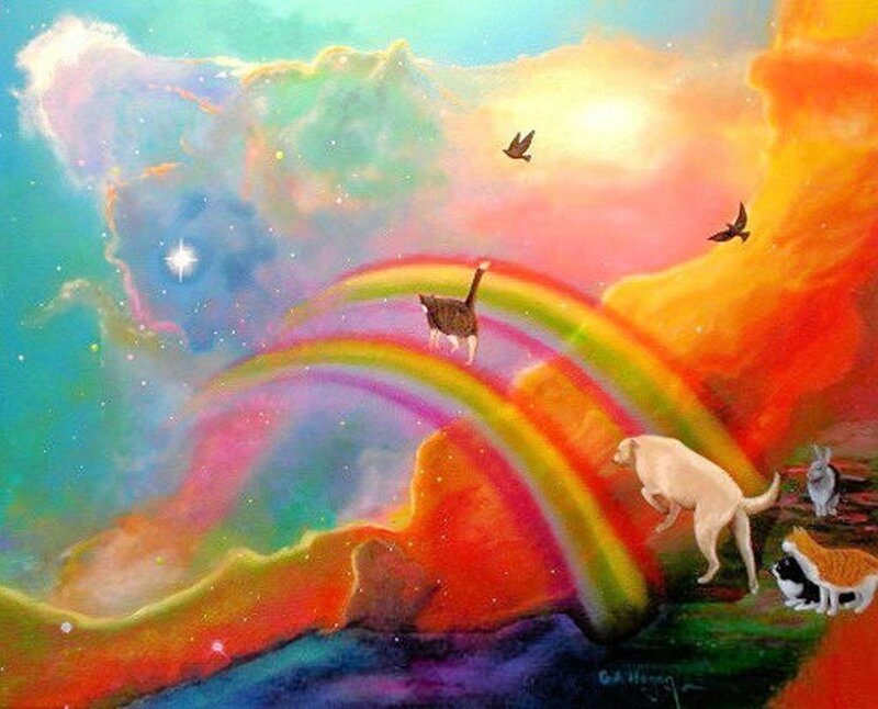 Animals on a Rainbow